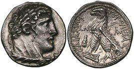 Phoenicia, Tyre, tetradrachm, dated year 50, 77/76 BC, laureate head of Melkarth right, rev., eagle standing left on prow, 14.35g, die axis 12.oo (BMC...