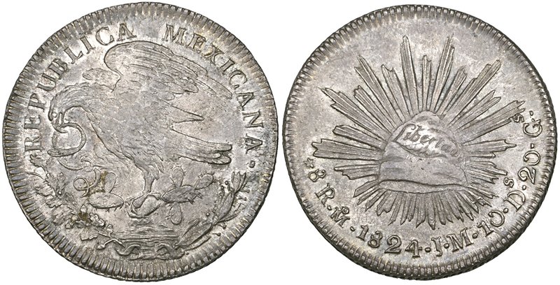 Republic, Hookneck Coinage, 8 reales, Mexico City mint, 1824 JM, rev., stops bet...