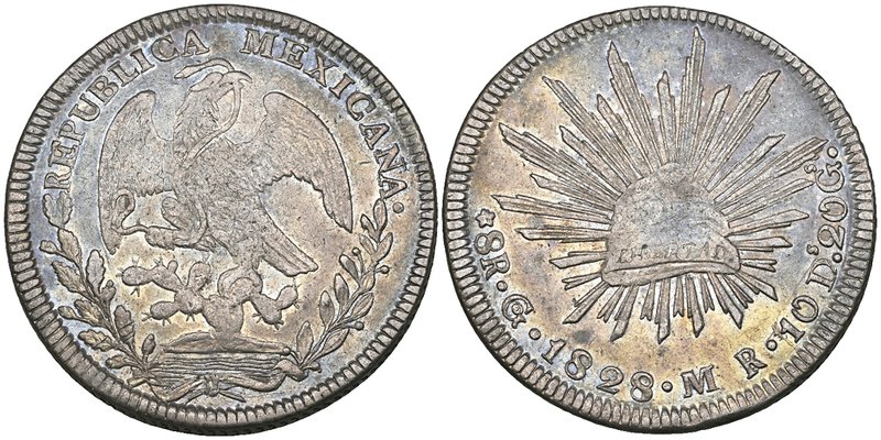 Republic, 8 reales, Guanajuato mint, 1828 MR, normal date (DP-Go08), minor surfa...