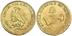 Republic, 1 escudo, Guadalajara mint, 1825 FS, small rim nick, about extremely fine

Estimate: GBP 100 - 150
