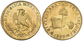 Republic, 1 escudo, Mexico City mint, 1833 MJ, adjustment marks, good very fine

Estimate: GBP 100 - 150