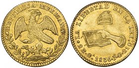 Republic, 2 escudos, Guadalajara mint, 1836/5 JG, good extremely fine

Estimate: GBP 300 - 400