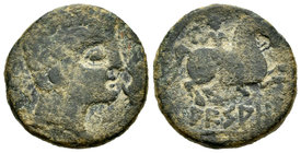 Arsaos. As. 120-80 a.C. Zona de Navarra. (Abh-144). (Acip-1654). Anv.: Cabeza masculina barbada a derecha, delante delfín, detrás arado. Rev.: Jinete ...