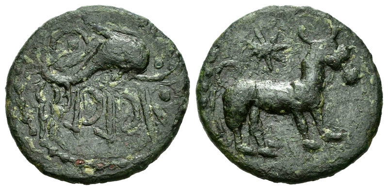Asido. Semis. 50 a.C. Medina Sidonia (Cádiz). (Abh-158). (Acip-914). Anv.: Toro ...