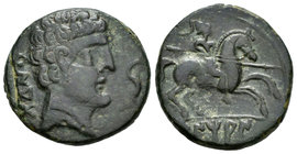 Bentian. As. 120-80 a.C. Zona de Navarra. (Abh-251). (Acip-1673). Anv.: Cabeza masculina a derecha, delante delfín, detrás BENKOTA. Rev.: Jinete con l...
