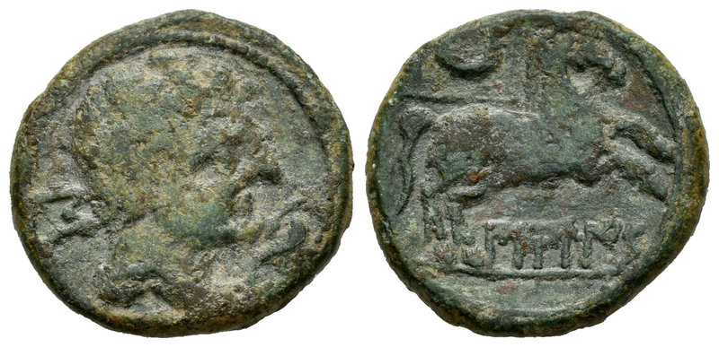 Bilbilis. Semis. 120-30 a.C. Calatayud (Zaragoza). (Abh-266). (Acip-1572). Anv.:...