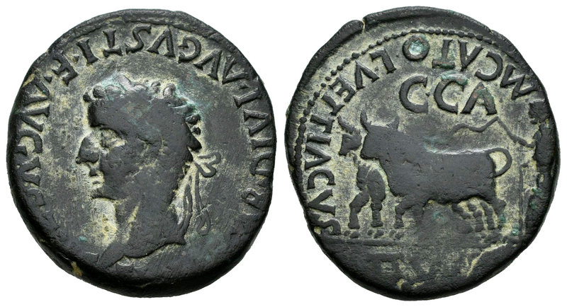 Caesar Augusta. As. 14-36 d.C. Zaragoza. (Abh-361). (Acip-3075). Anv.: Cabeza la...