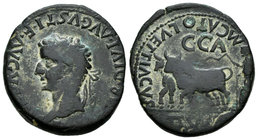 Caesar Augusta. As. 14-36 d.C. Zaragoza. (Abh-361). (Acip-3075). Anv.: Cabeza laureada de Tiberio a izquierda, alrededor (TI CA)ESAR DIVI AVG F AVGVST...