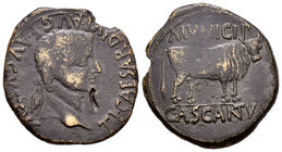 Cascantum. As. 14-36 d.C. Cascante (Navarra). (Abh-690). (Acip-3159). Anv.: Cabeza laureada de Tiberio a derecha, alrededor TI CAESAR DIVI AVG F AVGVS...