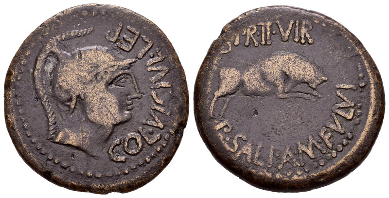 Celsa. As. 50-30 a.C. Velilla del Ebro (Zaragoza). (Abh-799). (Acip-1496, mismo ...
