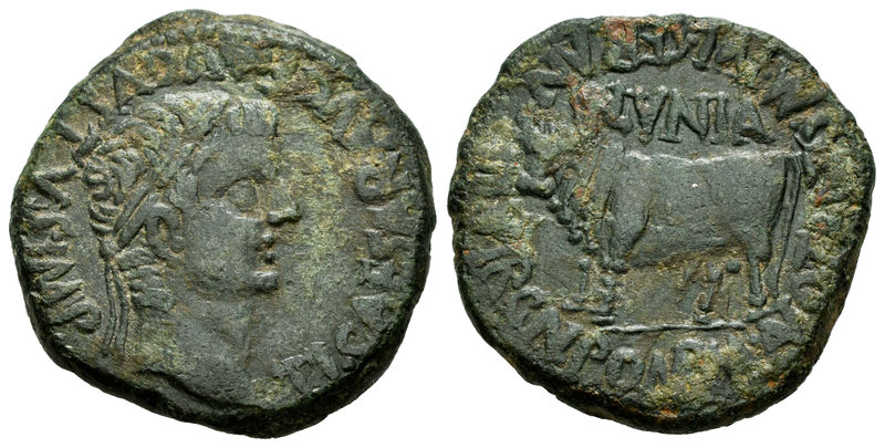 Clunia. As. 37-41 d.C. (Abh-837 variante). (Acip-3172). Rev.: Toro a izquierda, ...