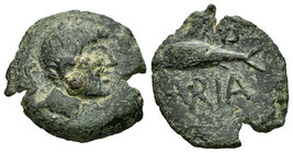 Cunbaria. Semis. 50 a.C. Cabezas de San Juan. (Abh-880). (Acip-2621). Anv.: Cabeza masculina a derecha, detrás S. Rev.: Atún a izquierda entre (CVNB) ...