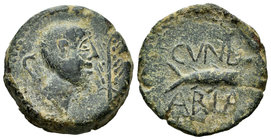 Cunbaria. Semis. 50 a.C. Cabezas de San Juan. (Abh-881). (Acip-2619). Anv.: Cabeza masculina a derecha, delante palma y detrás S. Rev.: Atún a derecha...
