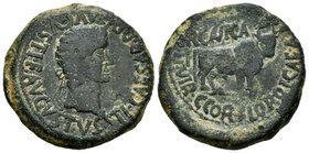 Erkauika- Ercavica. As. 14-36 d.C. Cañaveruelas (Cuenca). (Abh-1282). (Acip-3189). Anv.: Cabeza laureada de Tiberio a derecha, alrededor TI CAESAR DIV...