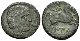 Iaka. As. 120-20 a.C. Jaca (Huesca). (Abh-1394). (Acip-1438). Anv.: Cabeza barbada a derecha, delante delfín, detrás BON. Rev.: Jinete con lanza a der...