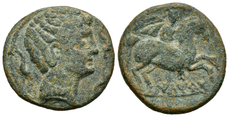 Iltirta. As. 220-200 a.C. Lleida (Cataluña). (Abh-1465). (Acip-1261). Anv.: Cabe...