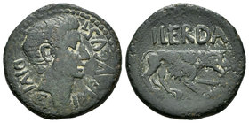 Ilerda. As. 27 a.C.-14 d.C. Lleida (Cataluña). (Abh-1488). (Acip-3199). Anv.: Cabeza de Augusto a derecha, alrededor IMP AVGVST DIVI. Rev.: Lobo andan...