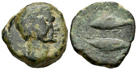 Lastigi. As. 150-50 a.C. Aznalcóllar (Sevilla). (Abh-1676 variante). (Acip-2376). Anv.: Cabeza masculina a derecha, alrededor láurea. Rev.: Dos atunes...