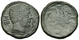 Sekaisa. As. 120-20 a.C. Zona de Aragón. (Abh-2121). (Acip-1544). Anv.: Cabeza masculina a derecha, delante delfín, detrás SE. Rev.: Jinete con palma ...