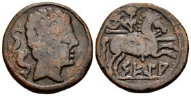 Sekia. As. 120-20 a.C. Ejea de Caballeros (Zaragoza). (Abh-2157). (Acip-1454). Anv.: Cabeza barbada a derecha, detrás dos delfines. Rev.: Jinete con l...