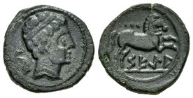 Sekia. Cuadrante. 120-20 a.C. Ejea de Caballeros (Zaragoza). (Abh-2166). (Acip-1453). Anv.: Cabeza barbada a derecha, detrás delfín. Rev.: Caballo a d...