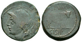 Sisipo. As. 50-20 a.C. Zona de Andalucía. (Abh-2255 variante). Anv.: Cabeza masculina a izquierda con casco. Rev.: Toro a derecha, arriba (DE)TVMO, de...