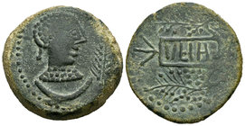 Ulia. As. 50 a.C. Montemayor (Córdoba). (Abh-2491). Anv.: Cabeza femenina a derecha, delante espiga y debajo creciente. Rev.: Ramas de vid, en el cent...