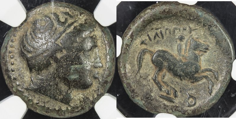 MACEDONIAN KINGDOM: Phillip II, 359-336 BC, AE unit, S-6697/99, head of Apollo r...