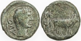 ROMAN EMPIRE: Augustus, 27 BC-14 AD, AE20 (Semis), Philippi, Macedonia, RPC-1656, BMC (Parium)-86-88, AVG, bare head of Augustus right / two colonists...