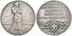 SWISS CANTONS: BERN: AR medal (23.15g), 1925, 40mm silver medal for the 9th Swiss Agricultural Exhibition by Huguenin Fréres & Co., female figure stan...