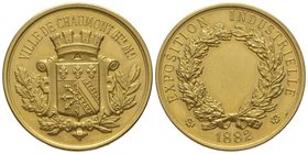Third Republic, 1870-1940. Gold medal, 1882, « Ville de Chaumont ». AU 25,44 g. 32 mm. Extremely fine
Estimation: 700-800 EUR