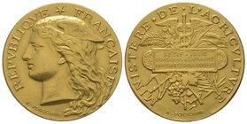 Gold medal, Ministère de l’Agriculture, SETIF, 1885, AU 25,3 g. 33 mm. by H. Ponscarme. Extremely fine
Estimation: 700-800 EUR