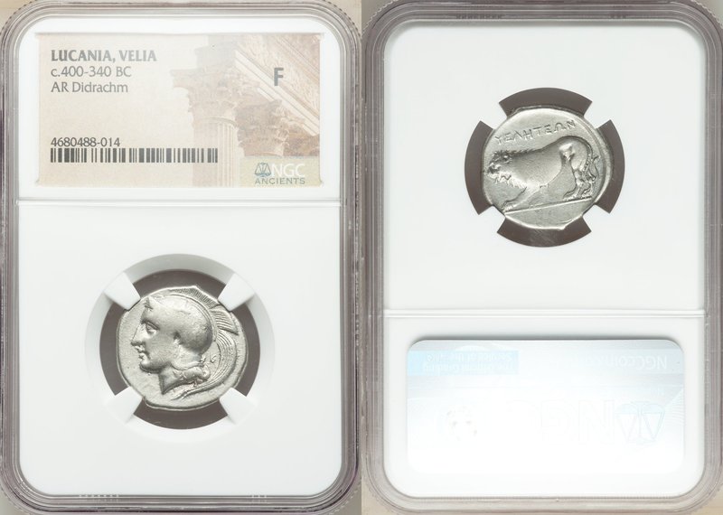 LUCANIA. Velia. Ca. 400-340 BC. AR didrachm or stater (22mm, 5h). NGC Fine. Head...