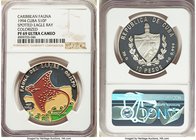 Republic 6-Piece Lot of Certified Assorted Proof Colorized 10 Pesos 1994 PR69 Ultra Cameo NGC, 1) 10 Pesos, KM502. Spotted Eagle Ray 2) 10 Pesos, KM44...