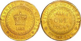 Australia; The royal crest Gold Adelaide Pound . 1852. PCGS MS61. AU. 8.75g. 0.917. 約22.00mm. KM2 Extremely Rare