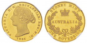 Australia, Victoria 1837-1901 Essai (Pattern Plain Edge) Sovereign, Sydney, 1856, AU 7.98 g. Ref : KM#Pn6, Fr.- Conservation : NGC Proof 62 ULTRA CAME...