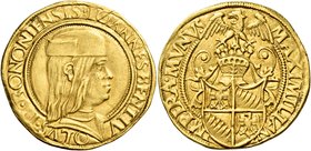 Bologna. Giovanni II Bentivoglio, 1494-1509. Doppio ducato, AV 6,84 g. IOANNES · BENTIV – OLVS · II · BONONIENSIS Busto corazzato a d., con berretto. ...