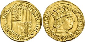 Napoli. Ferdinando I d’Aragona, 1458-1494. Ducato, dal 1469 al 1474, AV 3,50 g. FERDINANDVS D G R S I IE V Stemma coronato, inquartato di Napoli (Ungh...