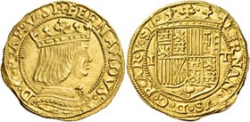Napoli. Ferdinando il Cattolico, 1504-1516. Ducato, AV 3,53 g. FERNANDVS – D G R AR V SI Busto coronato a d. Rv. FERNANDVS D G R AR V SI Stemma corona...