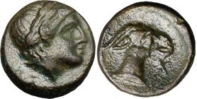 Greek Asia.Aeolis, Aegae.AE 8 mm, c. 3rd century BC.D/ Laureate head of Apollo right.R/ Head of goat right.SNG Cop 1; SNG München 354.AE.g. 1.02 mm. 8...