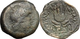 Greek Asia.Syria, Seleucid Kings.Antiochos VII Euergetes (138-129 BC).AE, 138-129 BC.D/ Bust of Eros right.R/ Headdress of Isis with lotos-flower.SNG ...