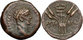 Claudius (41-54).AE 25 mm, Alexandria mint, 50-51 (year 11).D/ Laureate head right.R/ AVTO-KPA. Winged caduceus between four grain ears.Kampmann 12.70...