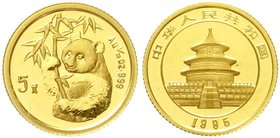 CHINA und Südostasien
China
Volksrepublik, seit 1949
5 Yuan GOLD 1995. Hüftbild eines Pandas mit Bambuszweig. 1/20 Unze Feingold. Small Date.
Stem...
