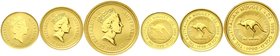 Ausländische Goldmünzen und -medaillen
Australien
Elisabeth II., seit 1952
3 Stück: 5, 15 und 25 Dollars Nugget 1990, Känguruh. 1/4, 1/10, 1/20 Unz...