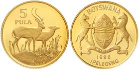 Ausländische Goldmünzen und -medaillen
Botswana
Republik, seit 1966
5 Pula 1986. Zwei Litschi-Moorantilopen. 15,98 g. 917/1000. Mit Zertifikat.
Po...