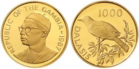 Ausländische Goldmünzen und -medaillen
Gambia
Republik, seit 1970
1000 Dalasis 1987 Gambia-Schneeballwürger. 10 g. 917/1000. Mit Zertifikat.
Polie...