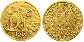 Gold der deutschen Kolonien u. Nebengebiete
Deutsch-Ostafrika
Notmünzen aus Tabora, 1916
15 Rupien 1916 T. Elefant. Grosse Arabeske endet unter A....