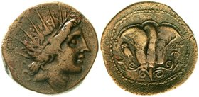 Altgriechische Münzen
Caria
Rhodos
Bronzemünze 29 mm. 88/85 v. Chr. Helioskopf r./Rose, Beizeichen Eule.
sehr schön