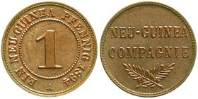 Kolonien und Nebengebiete
Deutsch-Neuguinea, Neuguinea Compagnie
1 Neu-Guinea Pfennig 1894 A. vorzüglich/Stempelglanz, schöne Kupfertönung