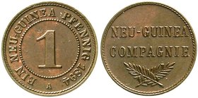 Kolonien und Nebengebiete
Deutsch-Neuguinea, Neuguinea Compagnie
1 Neu-Guinea Pfennig 1894 A. vorzüglich/Stempelglanz